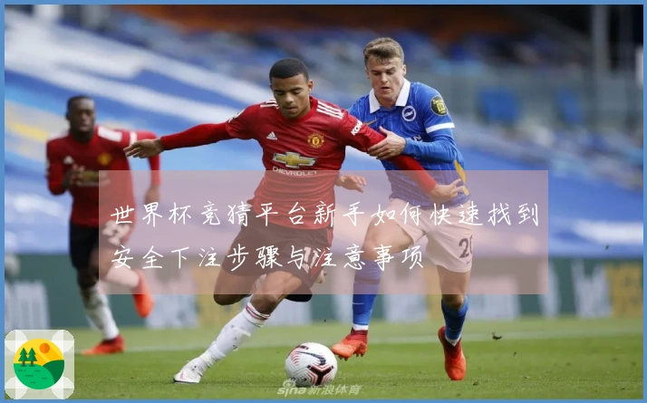 世界杯竞猜平台新手如何快速找到安全下注步骤与注意事项