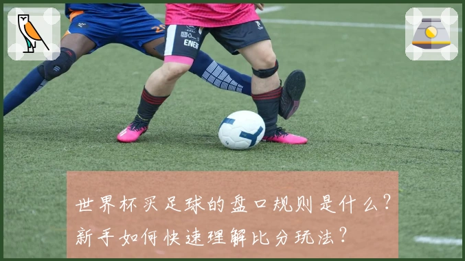 世界杯买足球的盘口规则是什么?新手如何快速理解比分玩法?